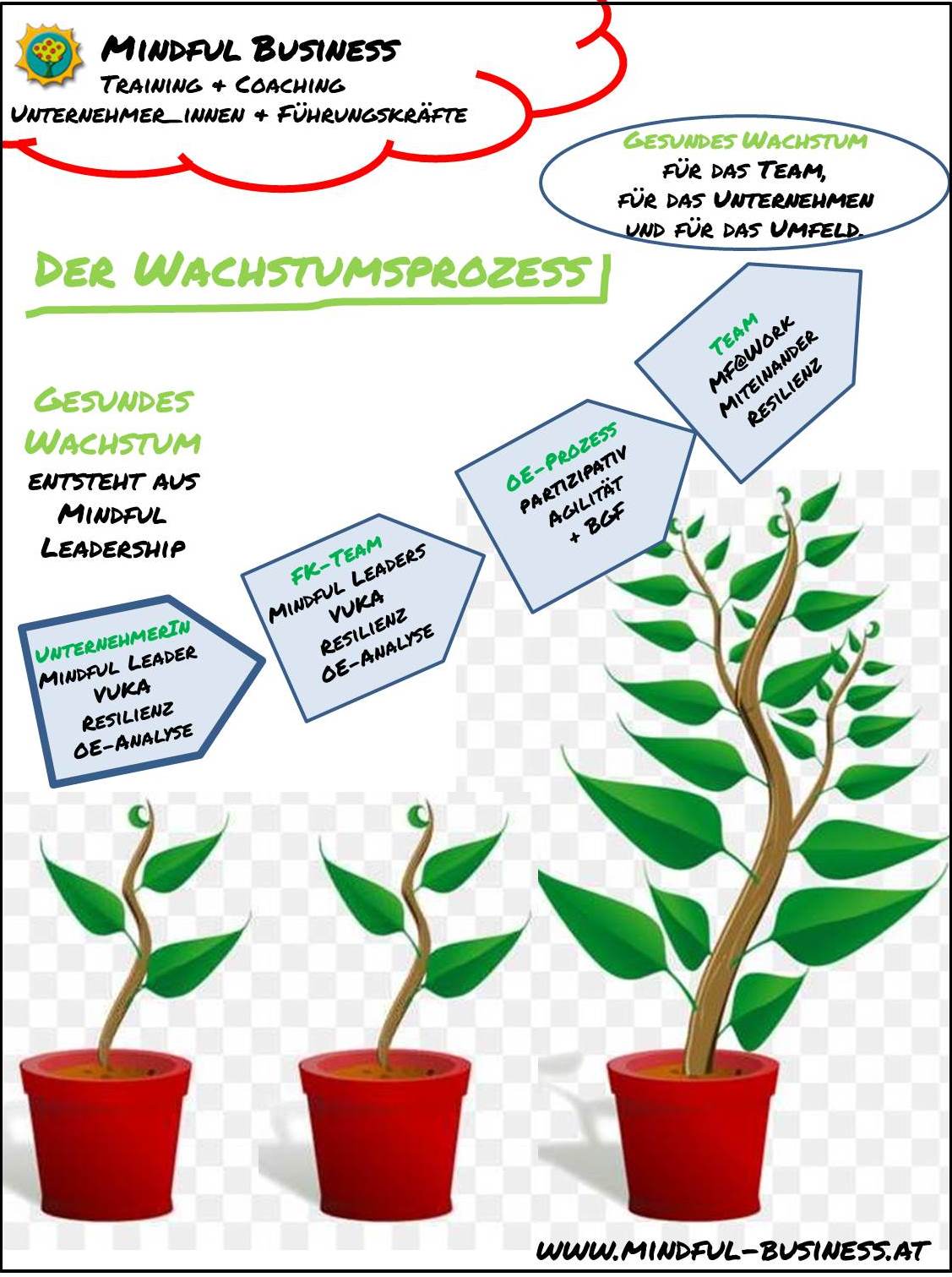 wachstumsprozess-grafik-website.jpg