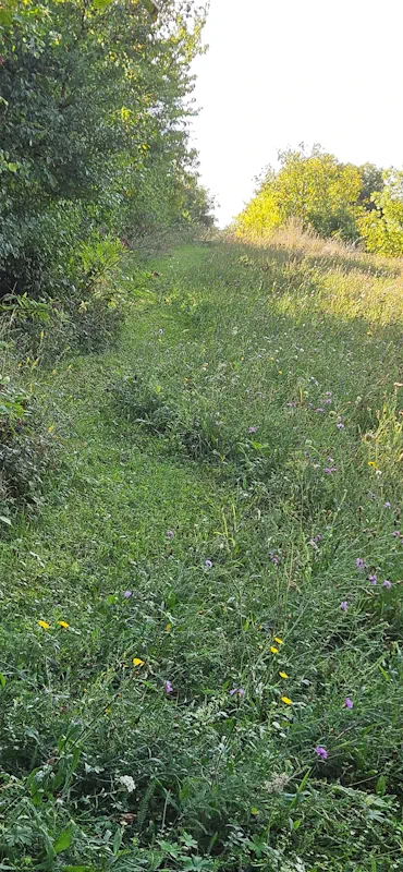 Mindful-Business - Seminargarten. Von der Wiese bis zur Terrasse