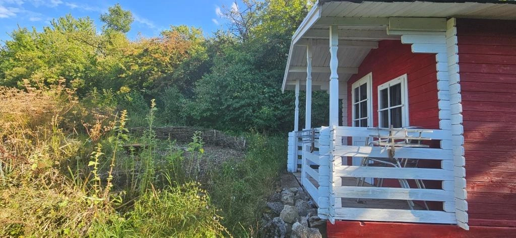 Rotes Holzhaus mit weißem Balkon, daneben hohe Gräser und Bäume. Sommerlich-lebendige Stimmung.